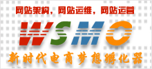 WSMO网站服务