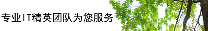 IT外包服务